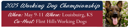 Working Dog Championship